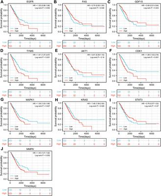 Frontiers Mechanism Exploration And Prognosis Study Of Astragali